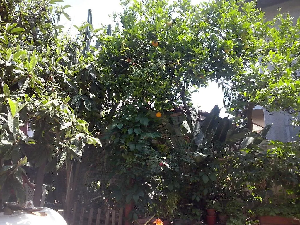 La Camelia Apartment Riposto